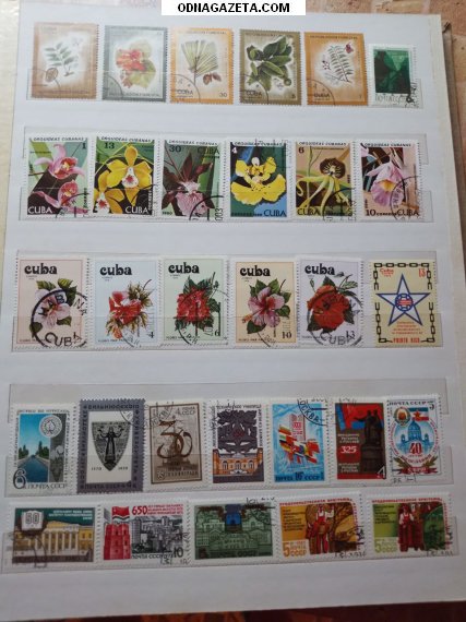 ������ ����� � ��� ������� � ������ ��� ���������� 1