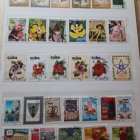 ������ ����� � ��� ������� � ���������  ������ ��� ����������