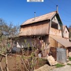 ������ ������ ���� � ����������-������� ������ ��.  ������ ��� ����������