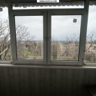 ������ ���� �� �������. ����� (�� �����  ������ ��� ����������