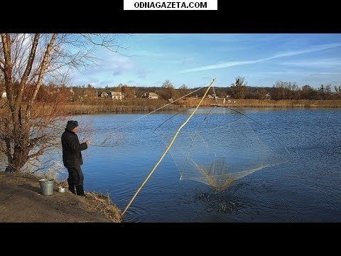 ������ ��������� ���������� ���������� (�����) �� ������ ��� ���������� 1