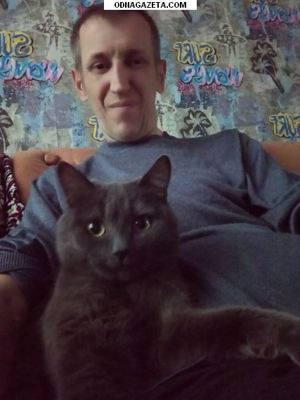 ������ �������. ��������. ������������ � �������� ������ ��� ���������� 1