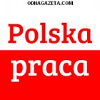 купить Легальная работа в Польше и Чехии.  кривой рог объявление